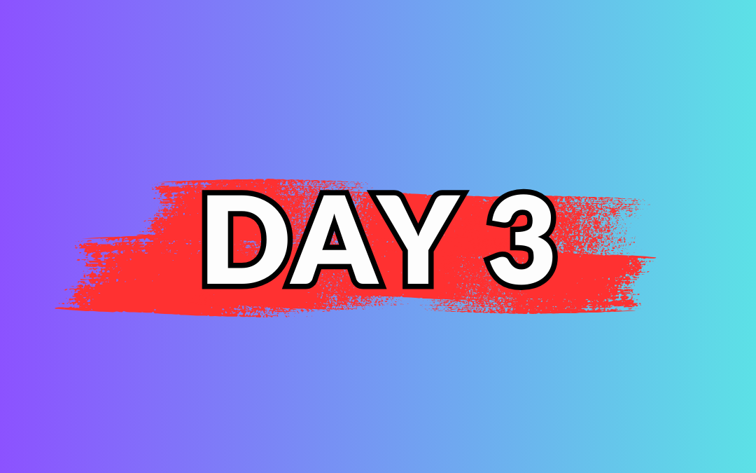 Day 3